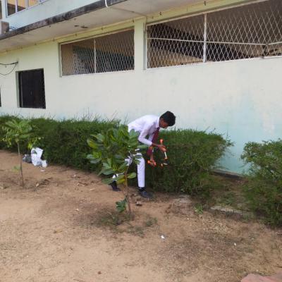 Whatsapp Image 2025 07 11 At 18.50.54 D3daf5c1