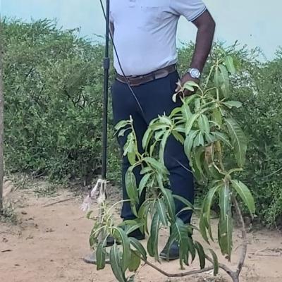 Whatsapp Image 2025 07 12 At 21.59.06 8e731e19